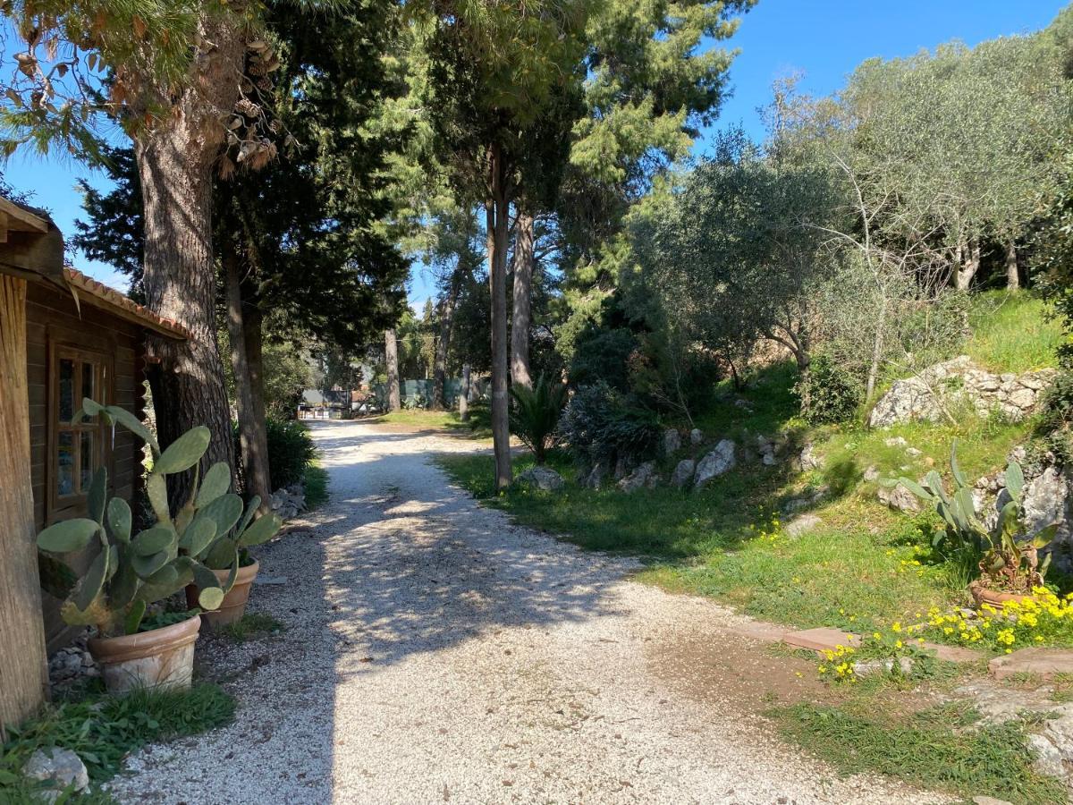 Villa Paradisino 오르베텔로 외부 사진
