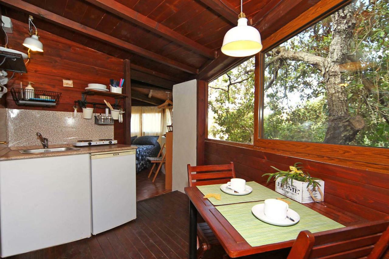 Villa Paradisino 오르베텔로 외부 사진